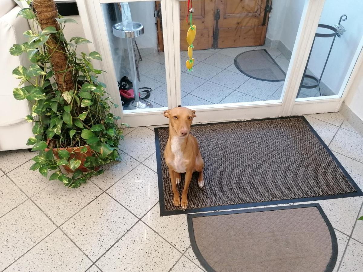 Hotel Cilene Viareggio Eksteriør billede