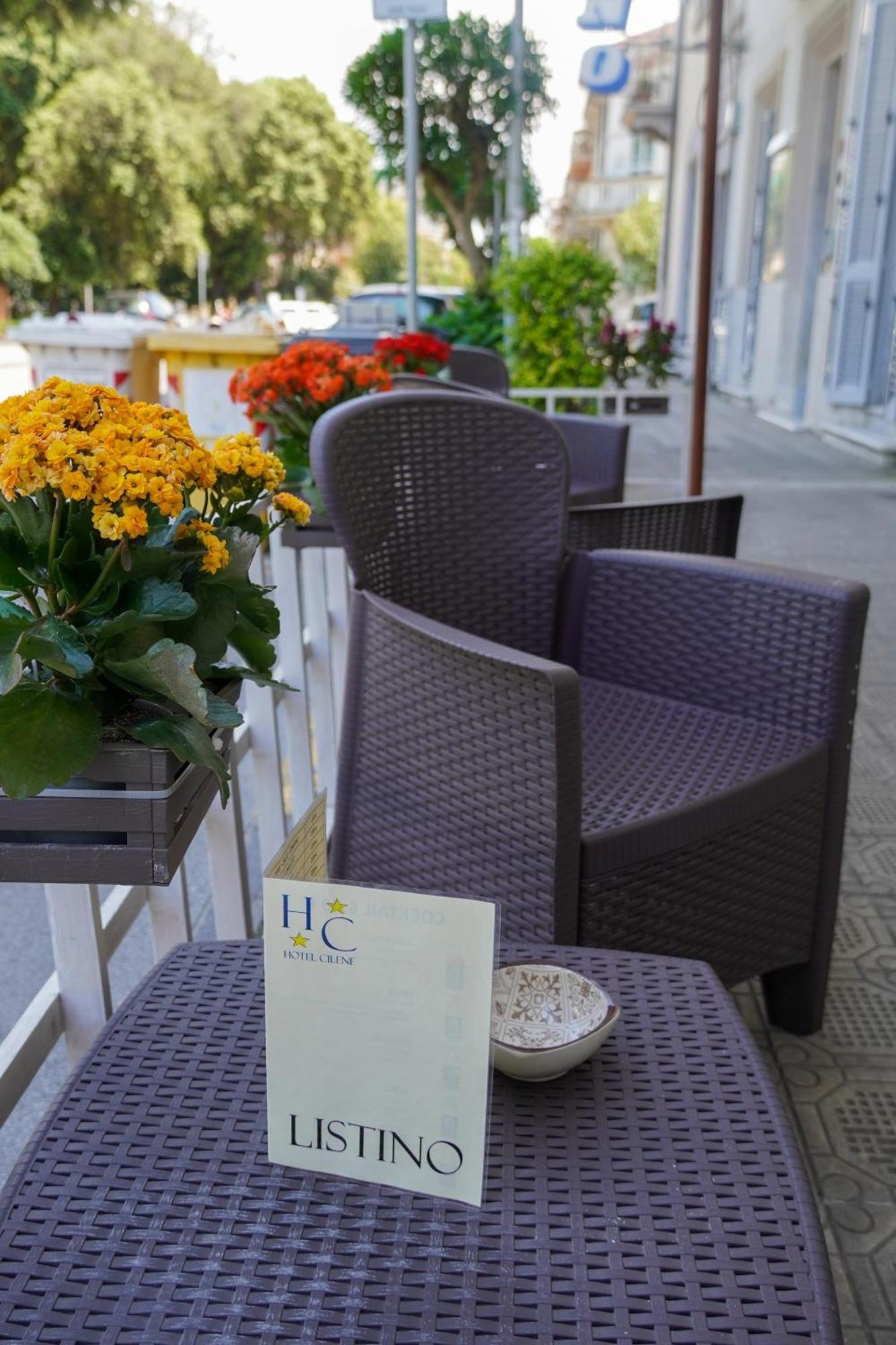 Hotel Cilene Viareggio Eksteriør billede